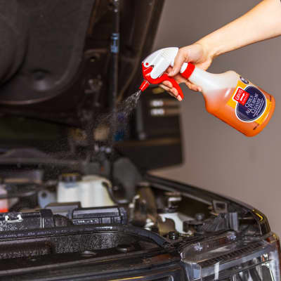 ホリダ グラキリス Citrus All Purpose Cleaner Secondary Bottle - Griot's Garage