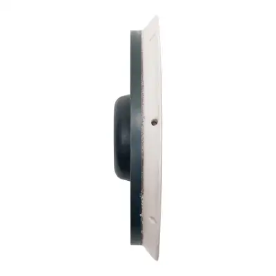 BOSS™ 5 Fanned Backing Plate - Griot's Garage