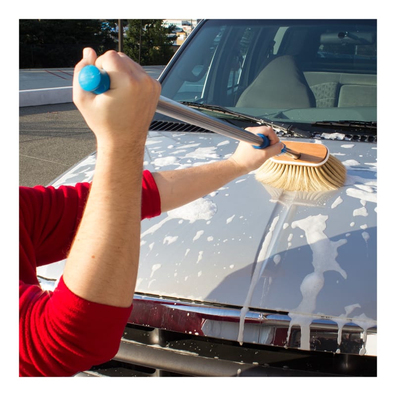 Boars' Hair Wash Brush and Telescoping Pole