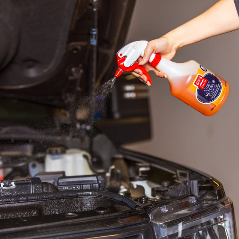 All purpose cleaner for car cheap