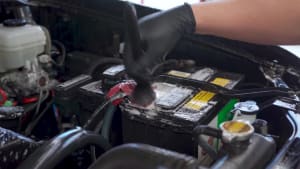 Engine Cleaner